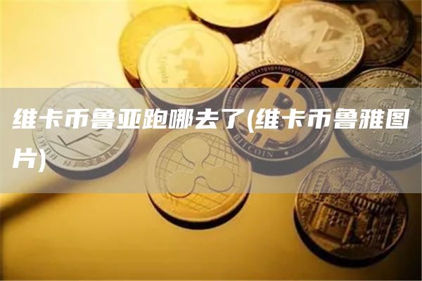 维卡币鲁亚跑哪去了 - 维卡币鲁雅图片